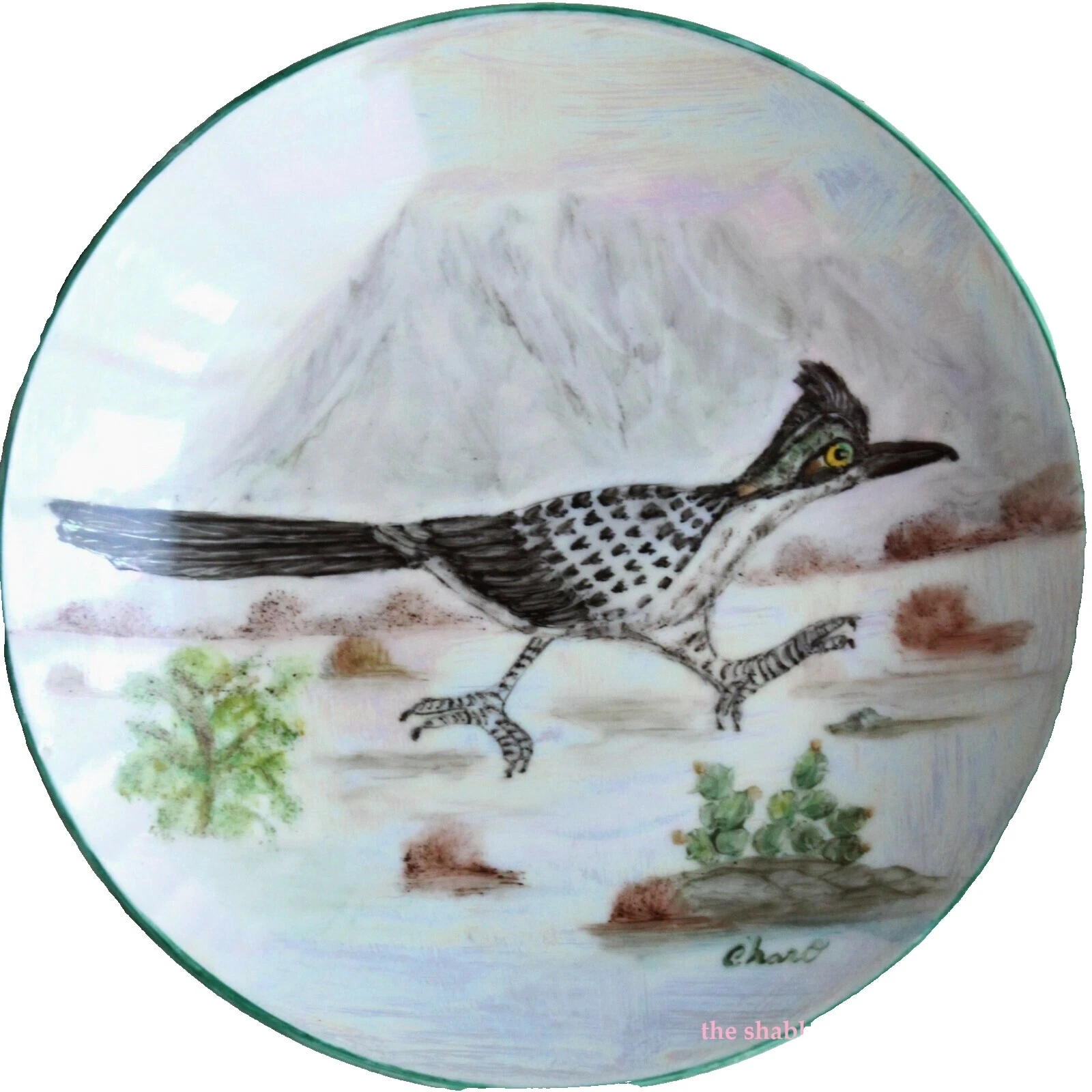 Southwestern Artigos Decorativos: Pratos e Tigelas