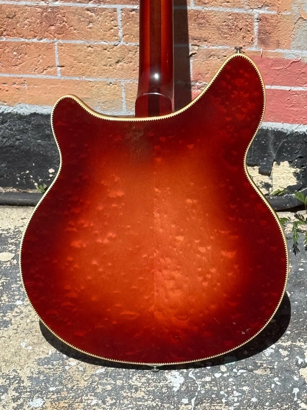 Picture 6 of 19