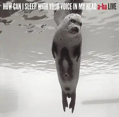 A-ha - How Can I Sleep With Your Voice In My Head -- A-ha Live (Limited Edition)