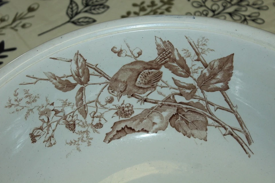 RARE ANTIQUE Aesthetic PUNCH BOWL Wash Basin WREN English Ironstone BIRDS - Image 4 of 4