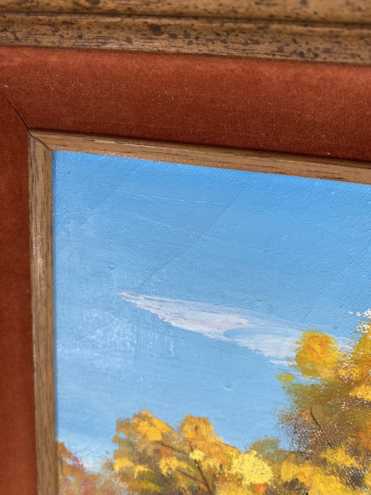 Bild 10 von 12