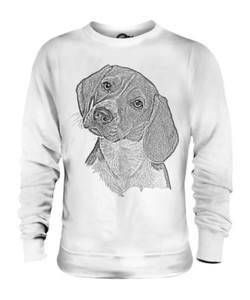 sweater for beagle