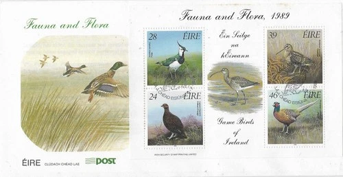 1989 IRELAND BIRDS MIN SHEET ON SUPERB FDC