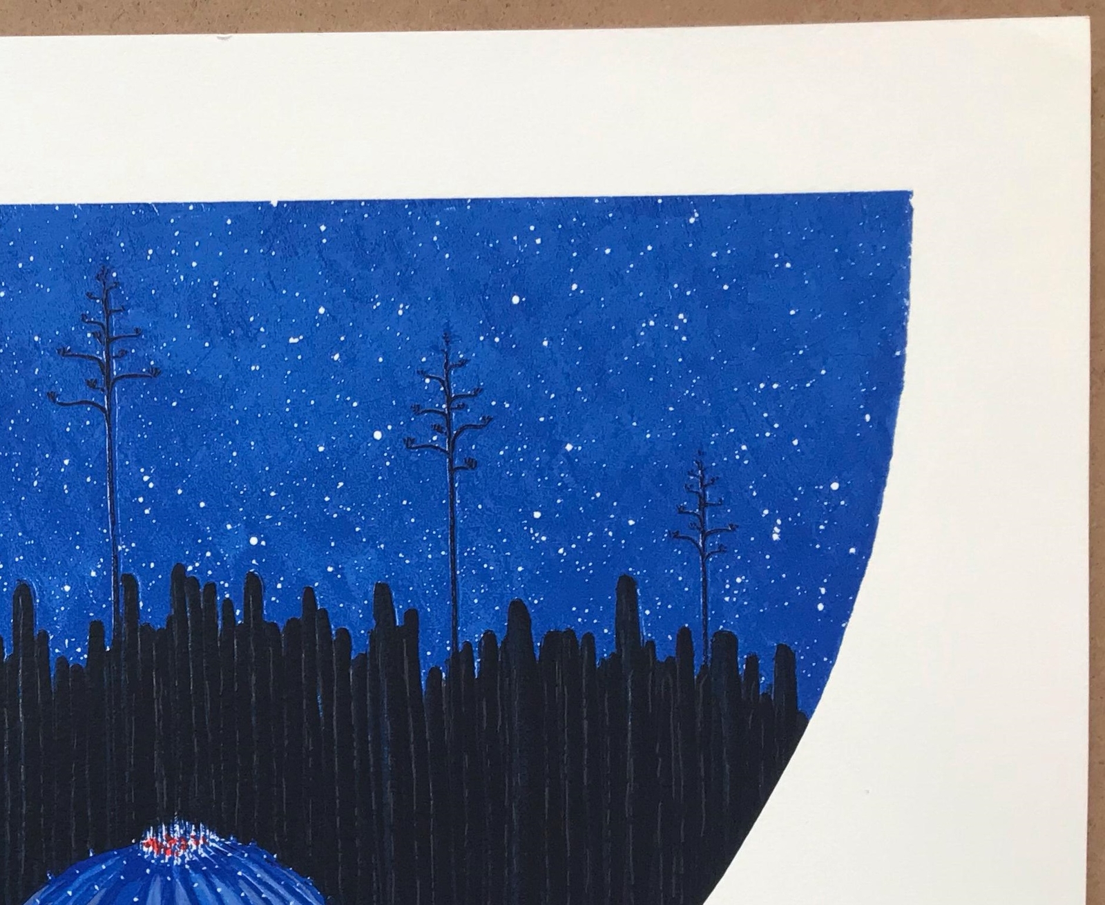 Picture 5 of 5
