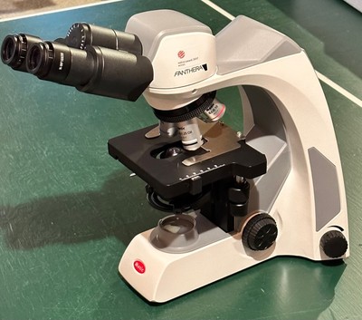 Motic Panthera E2 Biological Compound Microscope