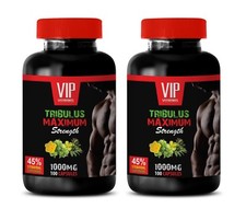 testosterone booster estrogen blocker - TRIBULUS MAXIMUM 2B 200CAPS - natural