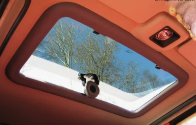 Universal Products Manual Pop-up Sunroof 800mm x 426mm (31.49inch