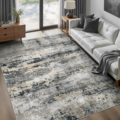 pmtsns Area Rugs 5x7 for Living Room: Washable Rug Modern Abstract Neutral Soft