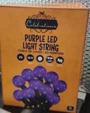 CELEBRATIONS PURPLE 25 FACETED GLOBE LED LIGHT STRING 16 ft.