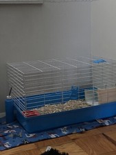 Starter guinea pig supplies