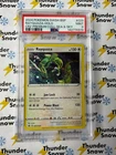 Rayquaza Holo Sea & Sky Premium Collection #029 2024 Pokemon PSA 9 142774378