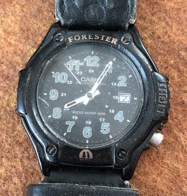 casio forester ft 500w