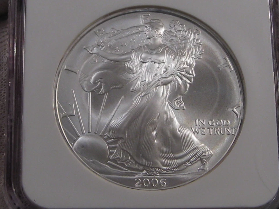 BU 2006 Silver American Eagle NGC MS69. #1 - Immagine 2 di 4