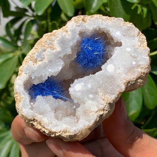 247G Rare Moroccan blue magnesite and quartz crystal coexisting specimen - 第 10/13 張圖片