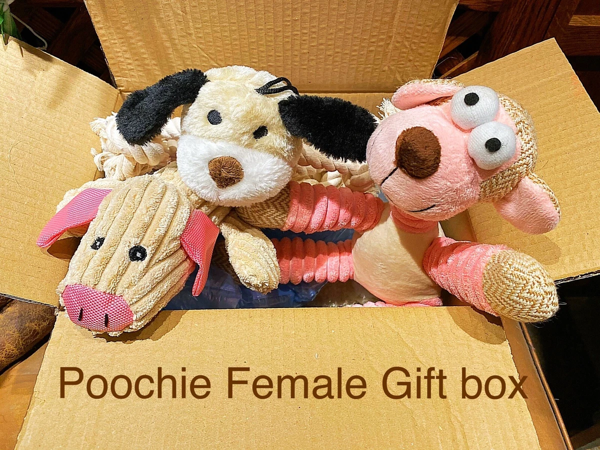Dog toy gift set sale