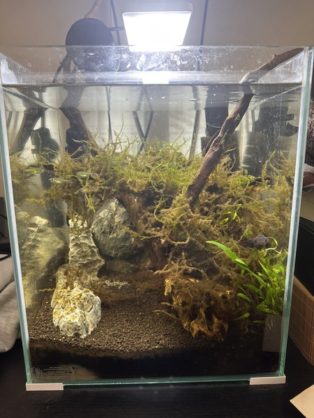 Acuario Completo 30L