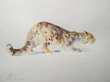 Yaguar, Animal, Watercolor artwork, Handmade, Original painting on paper
