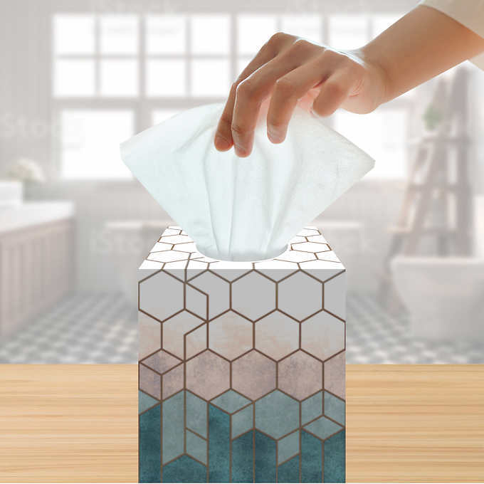 Kirkland Signature Facial Tissue, 3-Ply, 84 Count (12 Pack) | FREE SHIPPING  | eBay Kirkland SignatureTM Facial Tissue by Kirkland Signature