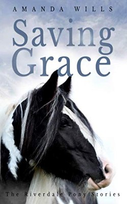 Saving Grace by Wills, Amanda Book The Fast Free Shipping