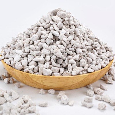 Bonsai Pumice for Succulents & Cacti - 2.2 lbs Fast-Draining Soil Additive