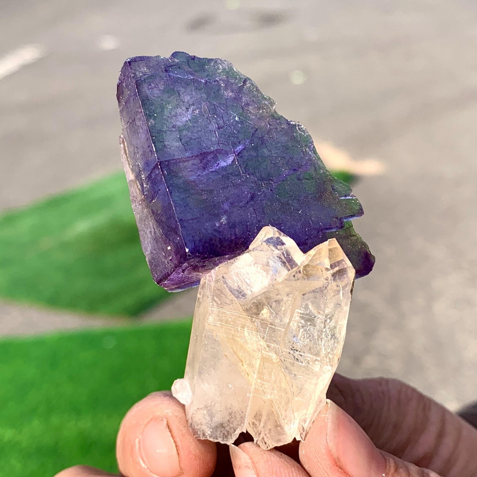 40G Natural Transparent Purple Cubic Fluorite Crystal Specimen from China