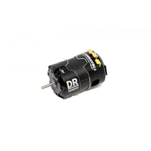 SHIBATA DR High Performance Motor 15.5T DR-HPM155 | eBay