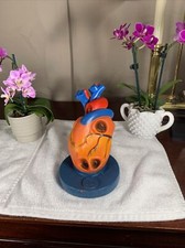 Life Size Human Heart Model Anatomical Models Teaching Demonstration RARE VG 