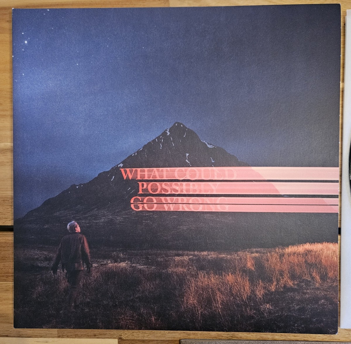 Dominic Fike - What Could Possibly Go Wrong? DELUXE with