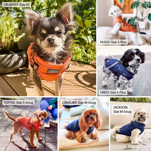 PIPCO PETS - Dog Puffer Jacket with In-Built Harness | Water Resistant Coat - Picture 7 of 20