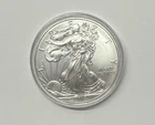 2013 American Silver Eagle $1 1 oz .999 Fine Silver Bullion Coin Uncirculated