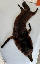 edles Fuchsfell, Pelz Kragen , Stola, Schwarzfuchs top erhalten ganzer Fuchs