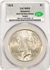 1923 CACG MS63 Peace Dollar, WitterBrick Sample Slab Limited 2025 FUN Show Issue