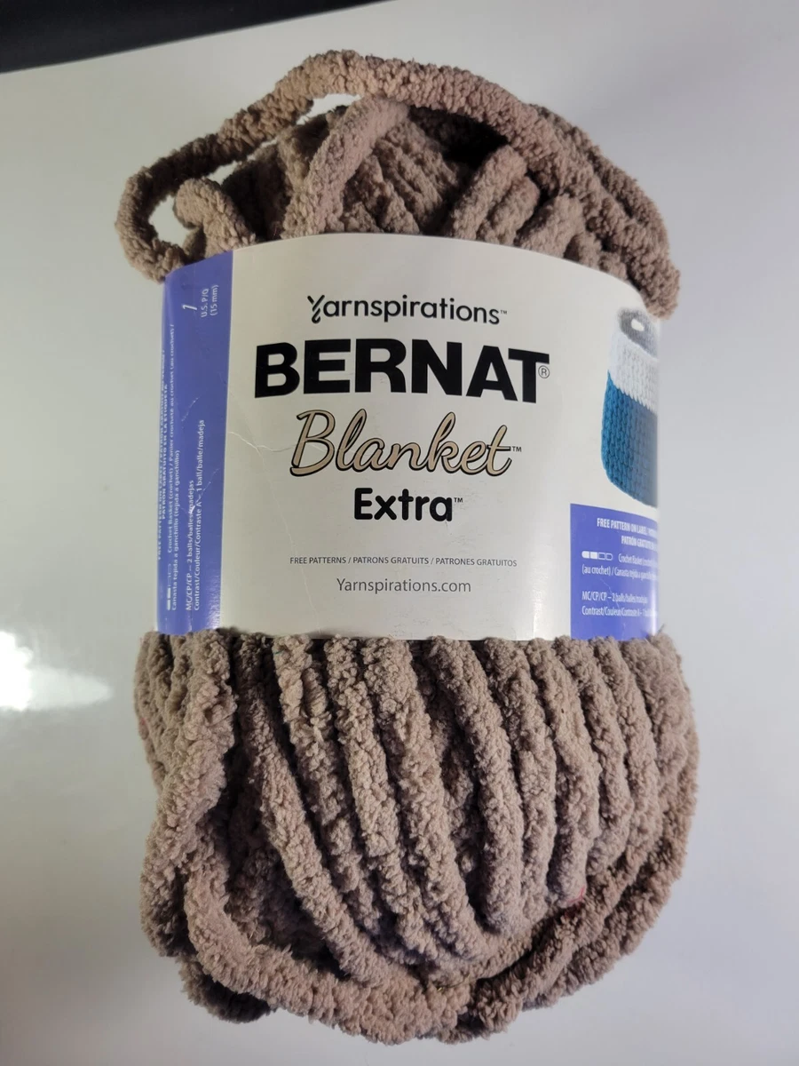 Bernat Blanket Extra Yarn 