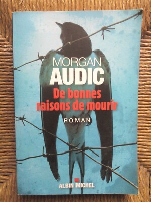 Buch Kriminalroman Thriller Gute Gründe zu sterben von Morgan Audic