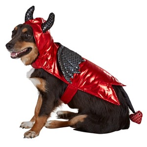 dog devil costume