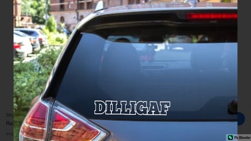DILLIGAF Vinyl Decal Sticker Car Window Bumper "Do I Look Like I Give A F*ck" - Picture 7 of 8