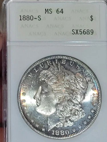1880 S $1 Morgan Dollar ANACS Soapbox MS64 Toned #SX5689