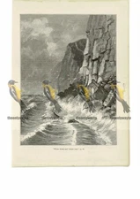 Stormy Seas, Winds & Waters Roar, Inspirational, Book Illustration (Print), 1888