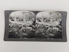 13603 Keystone Stereoview French Artillerymen Camp Enjoying Rest From Warfare