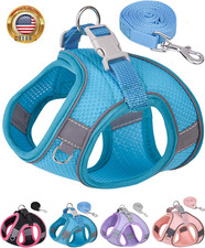 Dog Harness for Small Medium Sized Dog, Step in Puppy Harness and Leash Set Trai