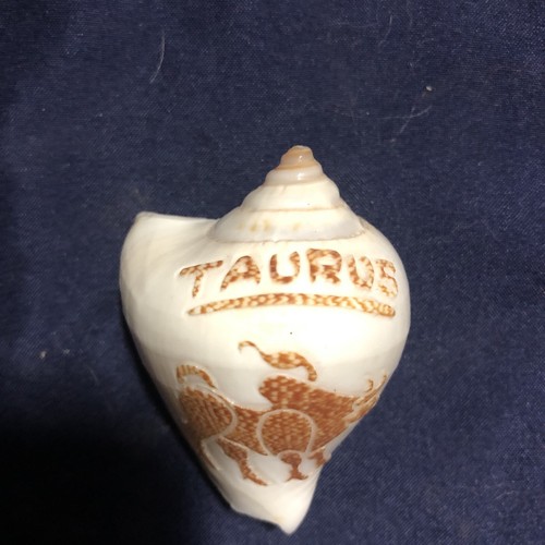 Vintage Carved Cameo Shell with Taurus Bull