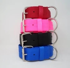 #200N 2" Wide 2 ply Nylon Dog Collar  "Free Brass Nameplate"