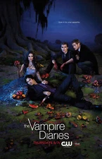 BB4507 The Vampire Diaries Show By Julie Plec 2009 Actors Movie Poster 11x17