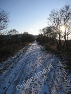 Foto 6x4 Ystwyth Trail, Cors Caron Naturschutzgebiet Swyddffynnon The Ystwy c2010