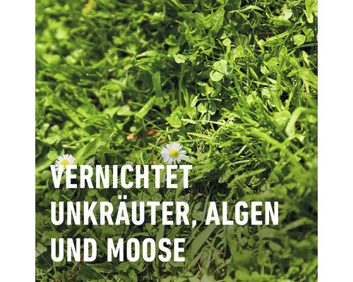 Rasendünger plus Unkrautvernichter Compo 12 kg / 400 m² 3459-905 - Bild 5 von 5