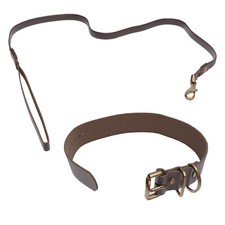 Leather Collar and Leash Set for Dogs - Premium Leather for Stylish Dogs