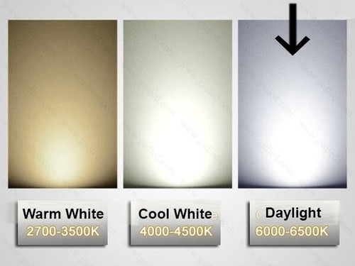 5 x 8W T5 Fluorescent Tubes Lamps 6500K Cool Daylight 300mm FL8WT5/865 - Picture 4 of 4