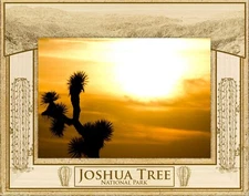 Joshua Tree National Park Laser Engraved Wood Picture Frame Landscape (4 x 6)