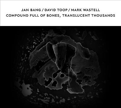 Compound Full of Bones, Translucent Thousands, Jan Bang / David Toop / Mark Was,