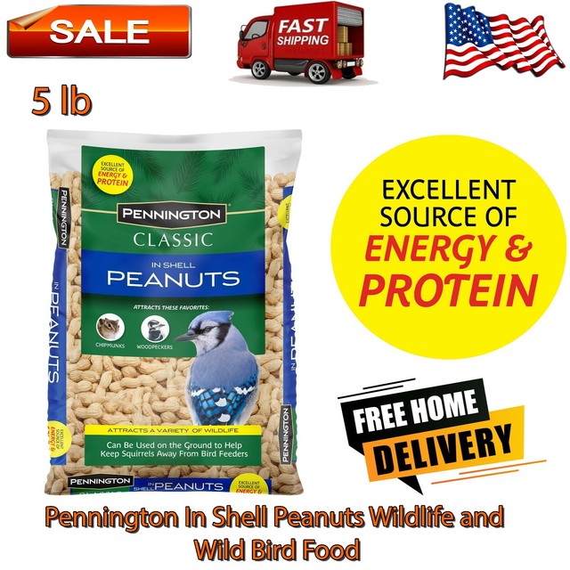 Pennington Classic in Shell Peanuts Wild Bird and Wildlife Feed 5 Lb